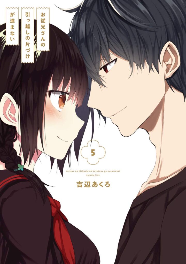 Oniisan no Hikkoshi no Katazuke ga Susumanai