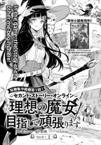 Second Story Online: Aiming To Become The World’s Number 1. Ideal Witch